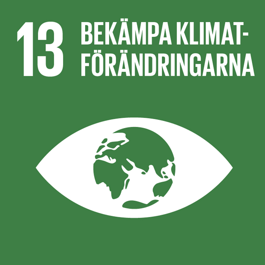 Det 13:e globala målet Bekämpa klimatförändringarna på mörkt grönt bakgrund