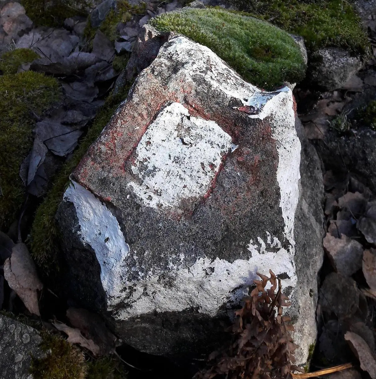 En sten med en markering på, så kallad råsten.