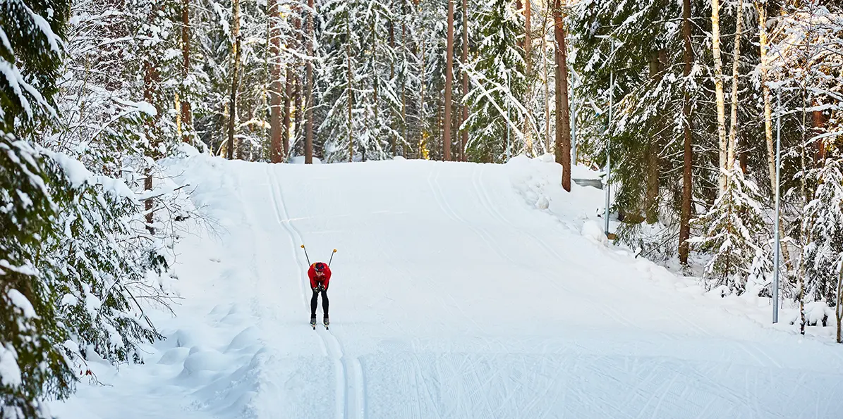 Person som åker längdskidor i skogen.