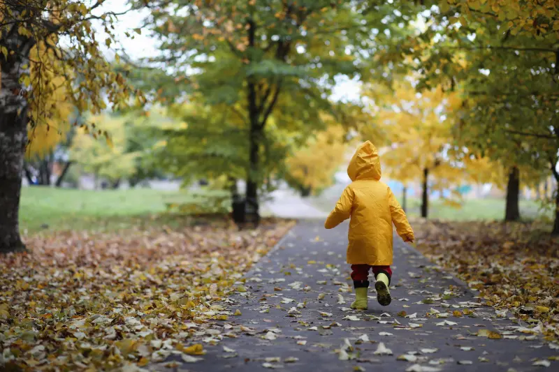 Ett barn springer på löv